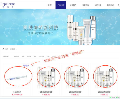 上海派網 一站式網站建設與SEO優化專家，助力企業在滬騰飛