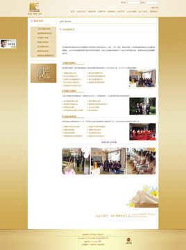 天照科技案例賞析 心妃蘭品牌官網的精致呈現與上海網站建設的專業之道